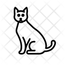 پیش‌نمایش فایل cat-11244141 از پک گربه