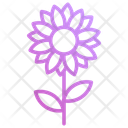 پیش‌نمایش فایل sunflower-10270206 از پک شکرگزاری
