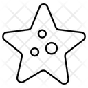 پیش‌نمایش فایل starfish-11447413 از پک تعطیلات