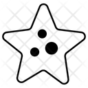 پیش‌نمایش فایل starfish-11446664 از پک تعطیلات