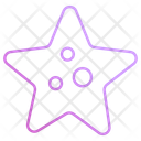 پیش‌نمایش فایل starfish-11447243 از پک تعطیلات