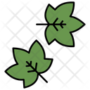 پیش‌نمایش فایل maple-leaf-12346146 از پک بهار