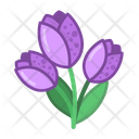پیش‌نمایش فایل bouquet-of-tulips-4915977 از پک روز ولنتاین