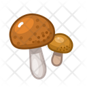 پیش‌نمایش فایل brown-cap-boletus-4958616 از پک قارچ‌ها