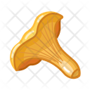 پیش‌نمایش فایل chanterelle-4958617 از پک قارچ‌ها
