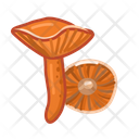 پیش‌نمایش فایل lactarius-4958618 از پک قارچ‌ها