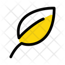 پیش‌نمایش فایل leaf-5157637 از پک لوازم ضروری
