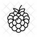 پیش‌نمایش فایل blackberry-6347066 از پک میوه‌ها