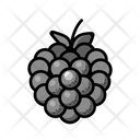 پیش‌نمایش فایل blackberry-6346210 از پک میوه‌ها