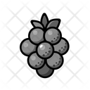 پیش‌نمایش فایل grape-6346216 از پک میوه‌ها