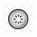 پیش‌نمایش فایل kiwi-6346218 از پک میوه‌ها