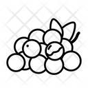 پیش‌نمایش فایل longan-6357014 از پک قطعه میوه‌ها - نسخه 2