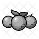 پیش‌نمایش فایل jabuticaba-6356979 از پک قطعه میوه‌ها - نسخه 2