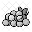 پیش‌نمایش فایل longan-6356982 از پک قطعه میوه‌ها - نسخه 2