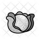 پیش‌نمایش فایل cabbage-6351163 از پک سبزیجات
