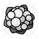 پیش‌نمایش فایل cauliflower-6351165 از پک سبزیجات