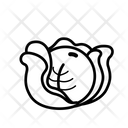 پیش‌نمایش فایل cabbage-6351198 از پک سبزیجات