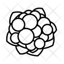پیش‌نمایش فایل cauliflower-6351200 از پک سبزیجات