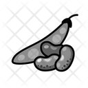 پیش‌نمایش فایل beans-6349179 از پک سبزیجات