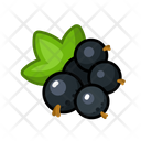 پیش‌نمایش فایل black-currant-3220066 از پک میوه‌ها
