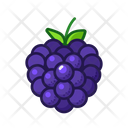 پیش‌نمایش فایل blackberry-3220067 از پک میوه‌ها