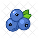 پیش‌نمایش فایل blueberries-3220068 از پک میوه‌ها