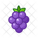 پیش‌نمایش فایل grape-3220072 از پک میوه‌ها