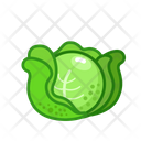 پیش‌نمایش فایل cabbage-3220097 از پک سبزیجات