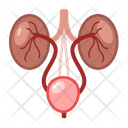 پیش‌نمایش فایل urology-3519949 از پک پزشکی و مراقبت‌های بهداشتی