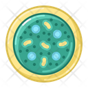 پیش‌نمایش فایل bacteria-3519896 از پک پزشکی و مراقبت‌های بهداشتی