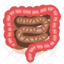 پیش‌نمایش فایل intestine-3519917 از پک پزشکی و مراقبت‌های بهداشتی