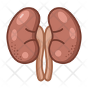 پیش‌نمایش فایل kidneys-3519918 از پک پزشکی و مراقبت‌های بهداشتی