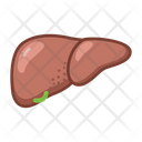 پیش‌نمایش فایل liver-3519919 از پک پزشکی و مراقبت‌های بهداشتی