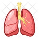 پیش‌نمایش فایل lungs-3519920 از پک پزشکی و مراقبت‌های بهداشتی