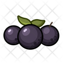 پیش‌نمایش فایل jabuticaba-3734954 از پک قطعه میوه‌ها - نسخه 2