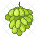 پیش‌نمایش فایل kishmish-grapes-3723493 از پک قطعه میوه‌ها - نسخه 2