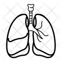 پیش‌نمایش فایل lungs-3745125 از پک پزشکی و مراقبت‌های بهداشتی