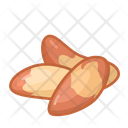 پیش‌نمایش فایل brazil-nut-4599503 از پک آجیل
