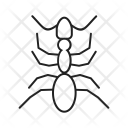 پیش‌نمایش فایل ant-27 از پک Animal 