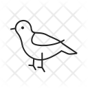 پیش‌نمایش فایل bird-198 از پک Animal 
