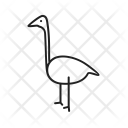 پیش‌نمایش فایل flamingo-9 از پک Animal 