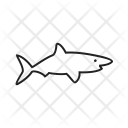 پیش‌نمایش فایل shark-43 از پک Animal 
