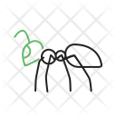 پیش‌نمایش فایل ant-30 از پک Animal 