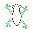 پیش‌نمایش فایل frog-66 از پک Animal 