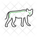 پیش‌نمایش فایل leapord-1 از پک Animal 