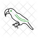 پیش‌نمایش فایل parrot-16 از پک Animal 