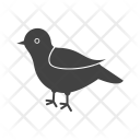 پیش‌نمایش فایل bird-200 از پک Animal 