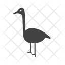 پیش‌نمایش فایل flamingo-11 از پک Animal 