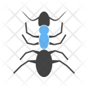 پیش‌نمایش فایل ant-33 از پک Animal 