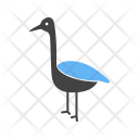 پیش‌نمایش فایل flamingo-12 از پک Animal 